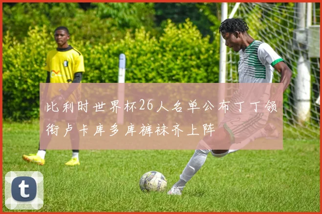 比利时世界杯26人名单公布丁丁领衔卢卡库多库裤袜齐上阵