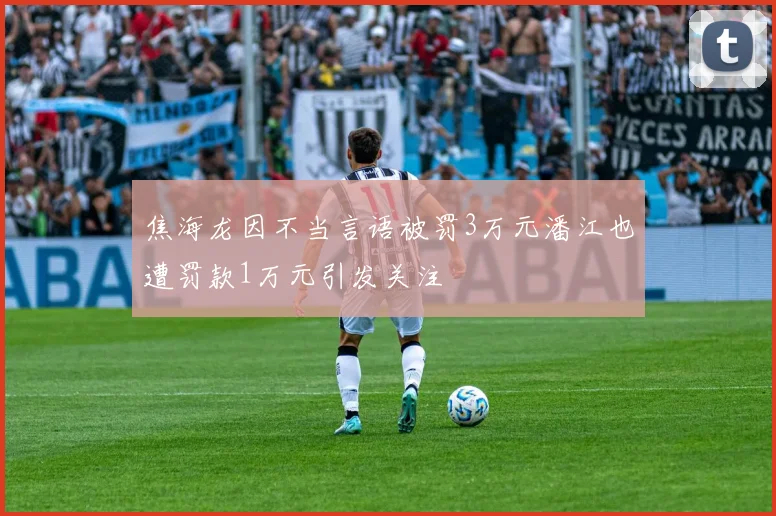 焦海龙因不当言语被罚3万元潘江也遭罚款1万元引发关注